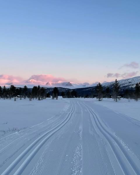 Bjorgebu Campung As Camping Mysusæter